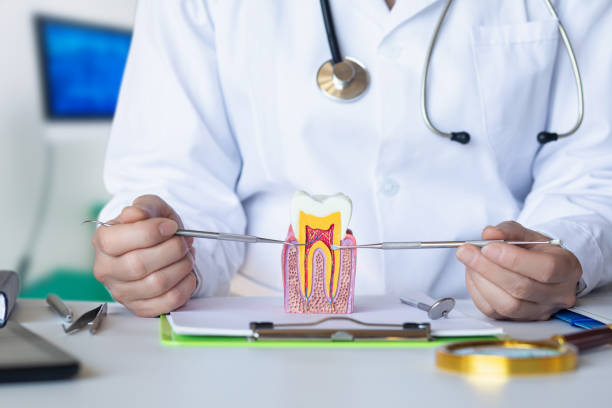 Best Walk-In Emergency Dental Services in St Paul, MO